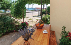 Cozy Apartment In Maslenica With Wifi